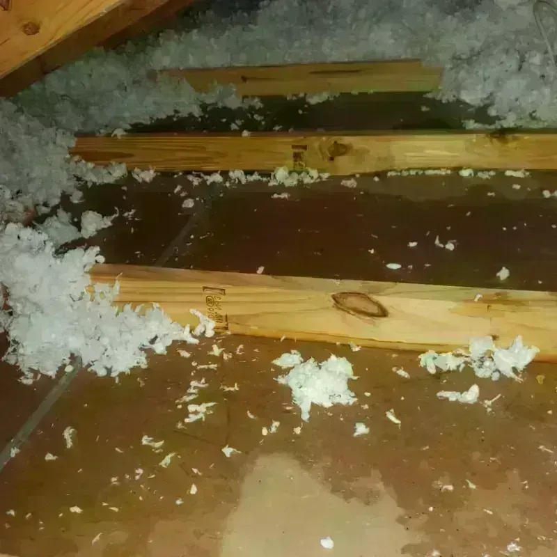 Attic Water Damage in Davie County, NC