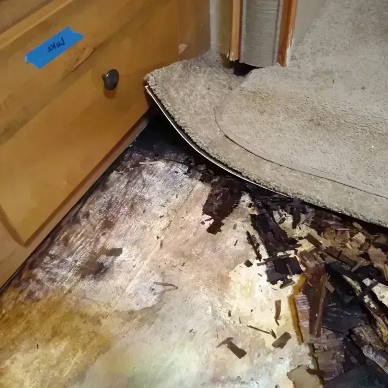 Wood Floor Water Damage in Davie County, NC